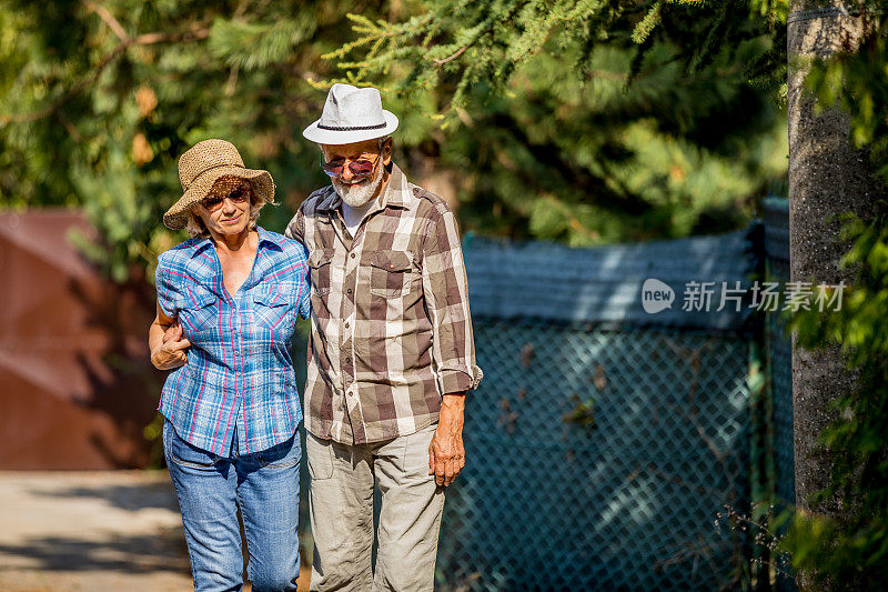 一对老年夫妇走过秋天的林地。活跃的老年人在秋天的森林里散步