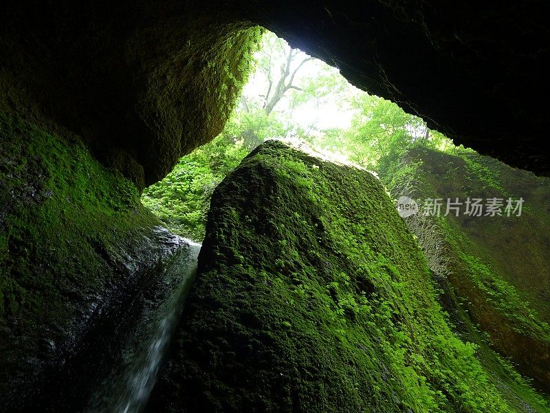 日本兵库市石破茂