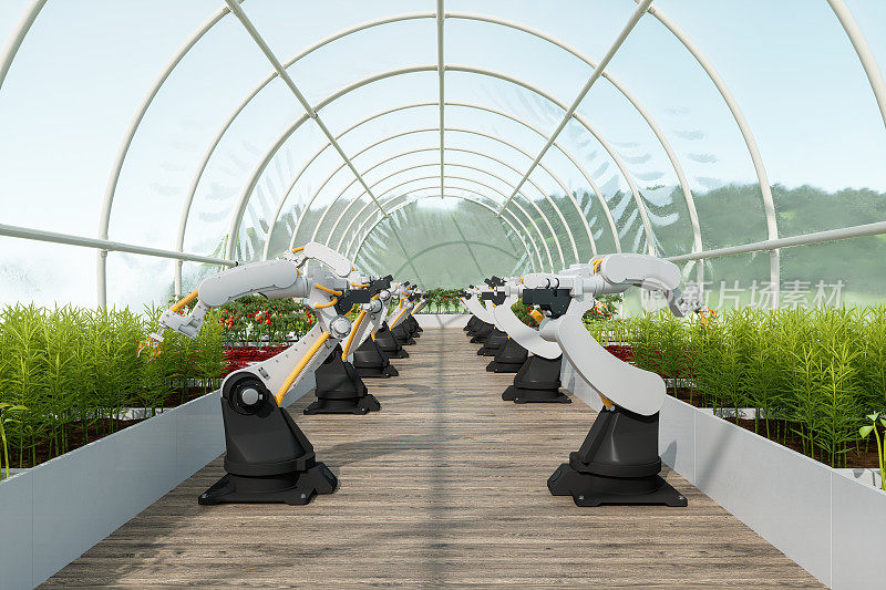 温室中智能机器人农民的自动农业技术