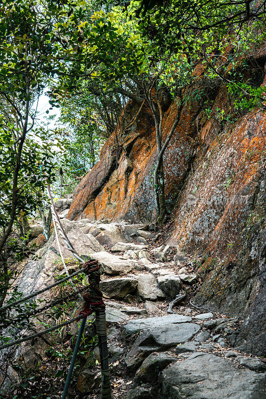 森林山上的石阶