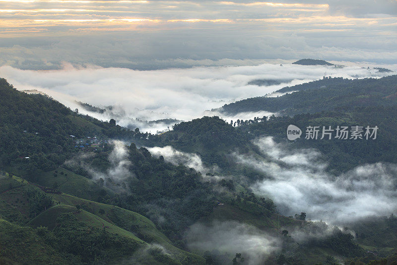 无人机拍摄(鸟瞰图)上午的茶园景观在泰国清莱的土美萨龙