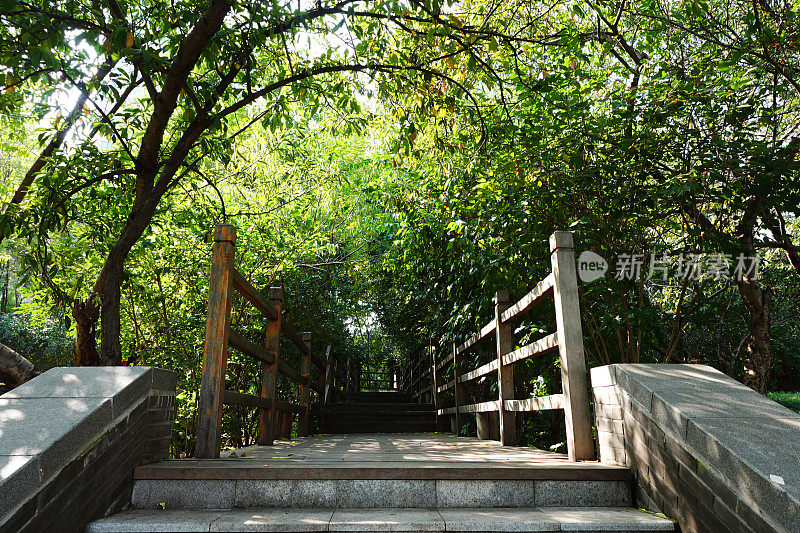 木板路和横跨林地的桥