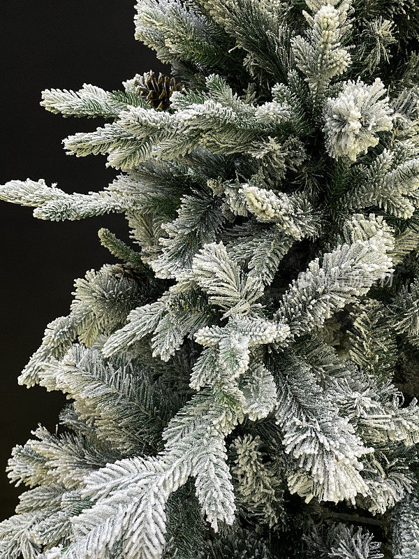 特写图像的人造松树圣诞树塑料针喷洒人造雪，装饰松果，黑色背景