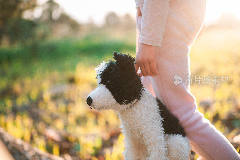 小女孩手里拿着毛绒绒的边境牧羊犬玩具狗娃娃走在田野里