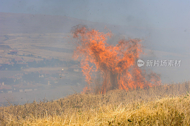 在离村子很近的田地里，一场危险的残茬火灾正在燃烧