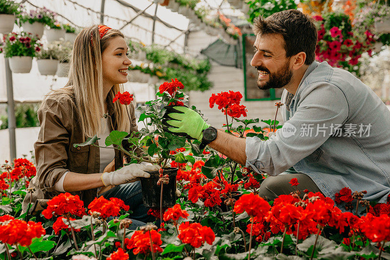 我们爱护植物