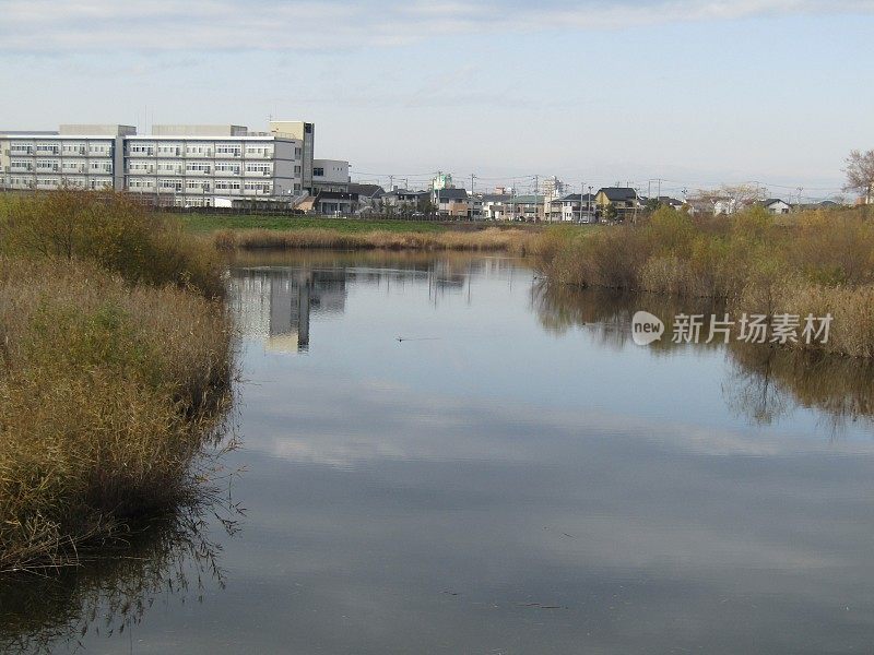 日本。12月。池塘在城市。