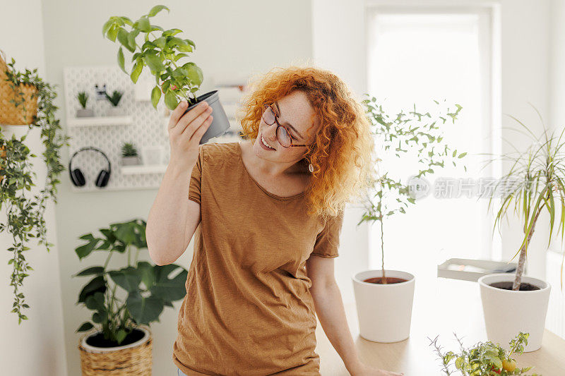 照料室内植物的家庭主妇