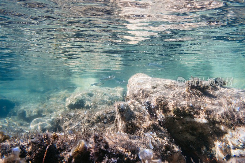 浅水海底