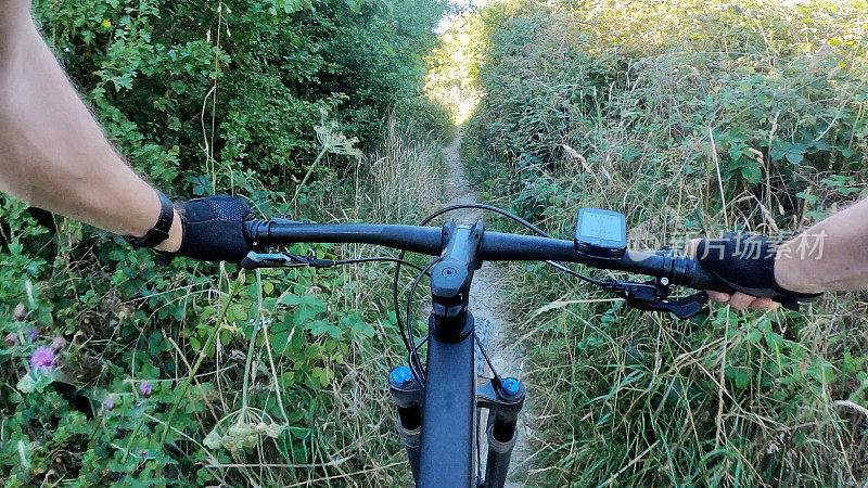 骑山地自行车穿过茂密的树林