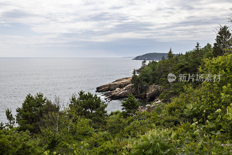 阿卡迪亚国家公园的荒野地带通往水边