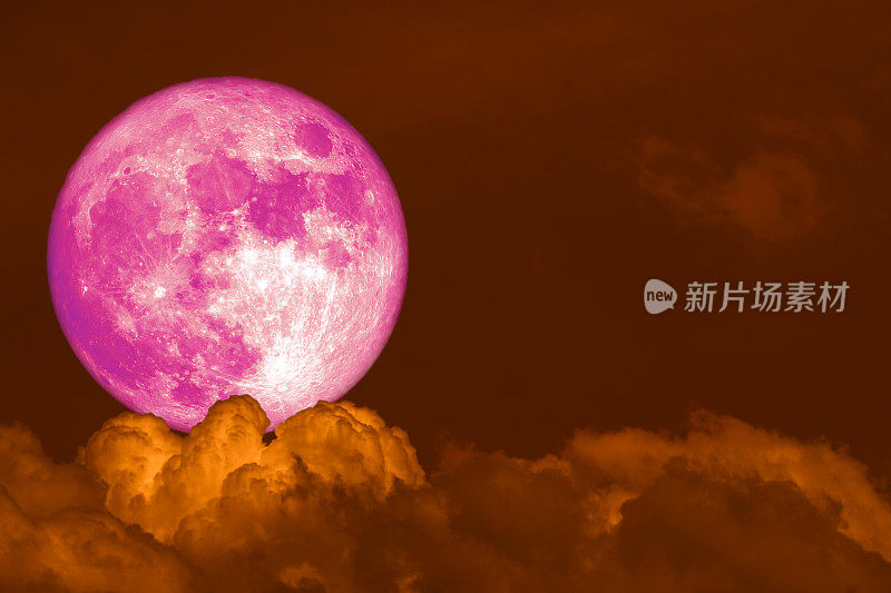 超级粉红的海狸月亮背上漆黑的云堆在夜空上