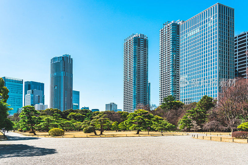 日本东京大都会日比谷公园的盆景树