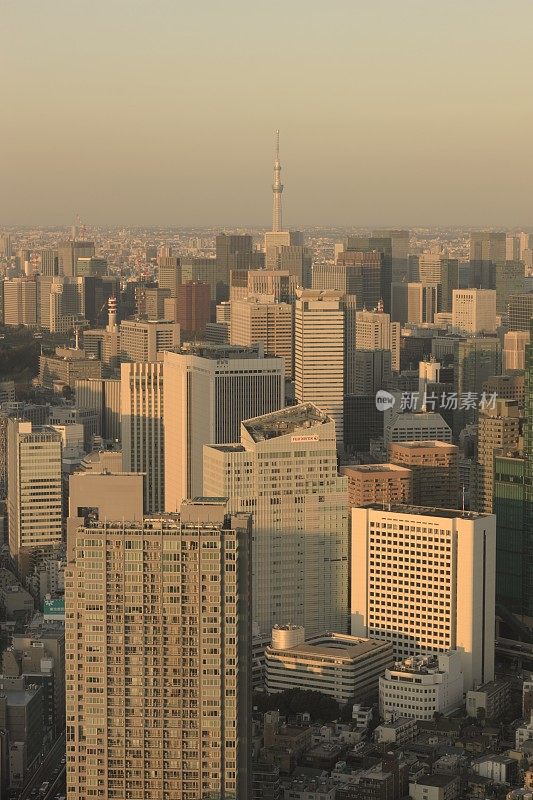 黄昏时的城市俯视图，东京港区六本木
