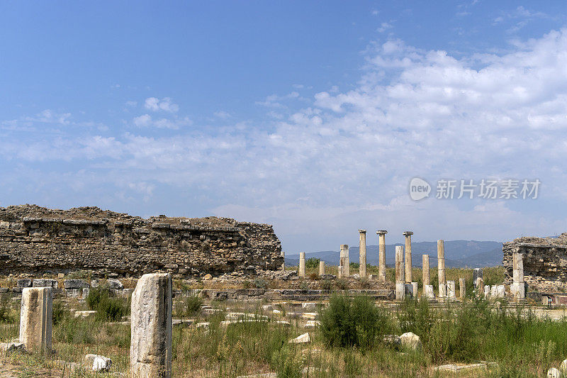 Magnesia古城，Aydın，土耳其，希腊化时期。