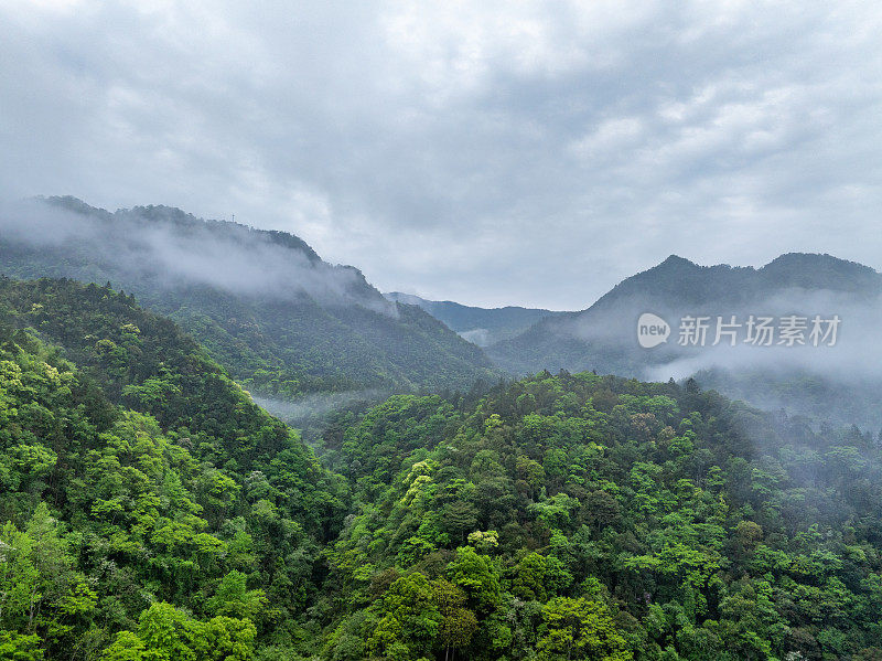 山中云和雾的航拍