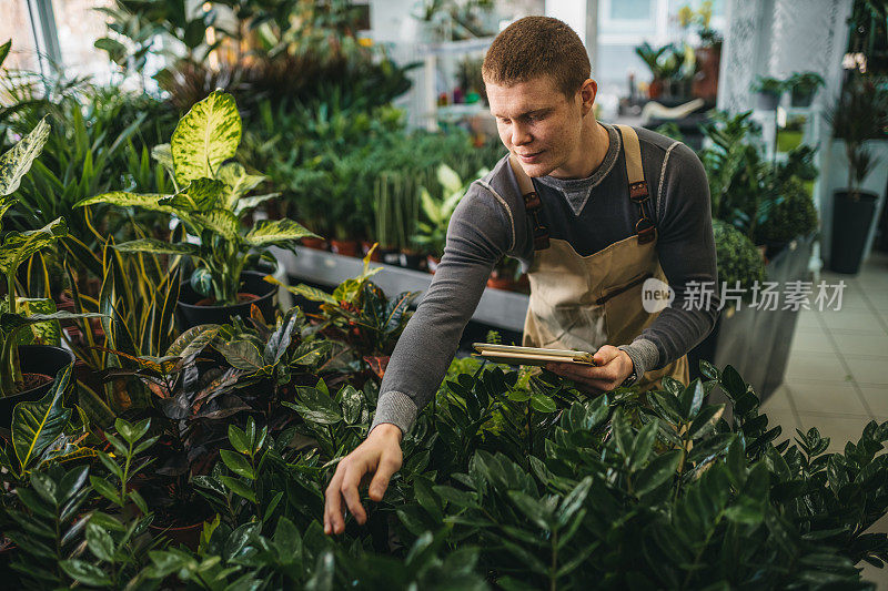 一个年轻人在花店工作时使用平板电脑