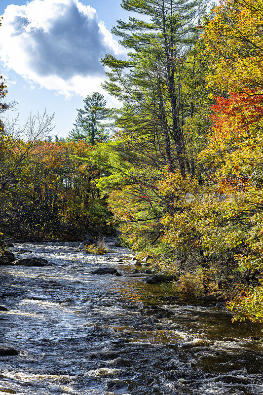 在新英格兰的佛蒙特州，风景与山河被色彩斑斓的秋日枫叶包围