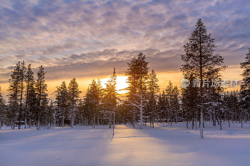 日落在冬日的雪林里，风景优美
