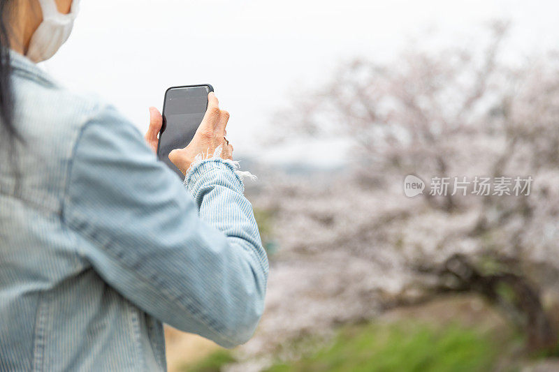 日本女子欣赏樱花