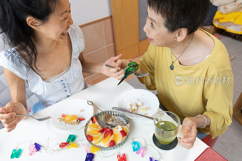 和宠物在家里庆祝生日