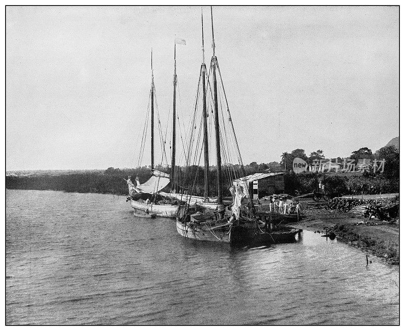古董黑白照片:船只，尤文图岛(前松树岛)