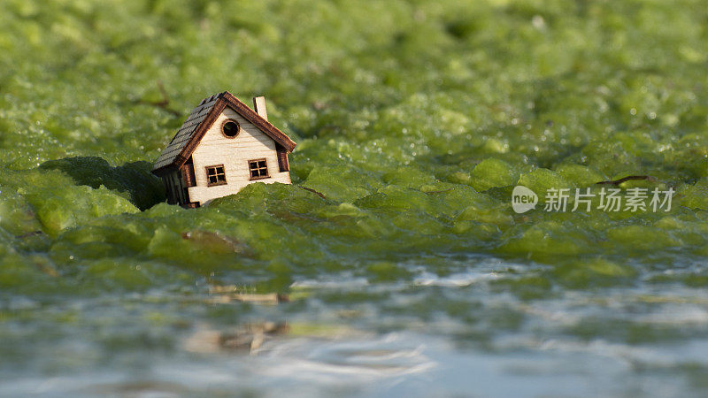 房子在海水和海藻中漂浮和下沉。房地产业危机，财政困难，经济萧条。家庭房屋被淹没和损坏洪水，海啸，自然灾害
