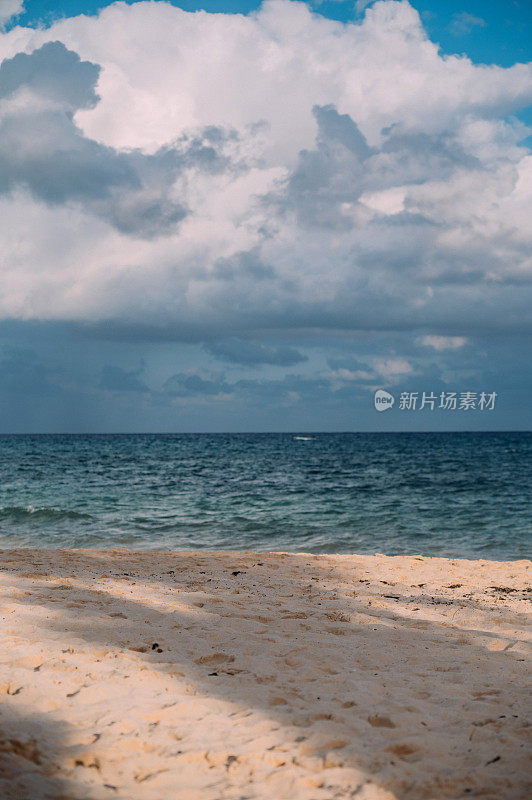 平静的海滩海景，沙丘和绿色的草