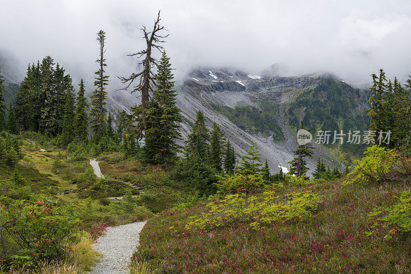 在贝克山休闲区的希瑟草地小径