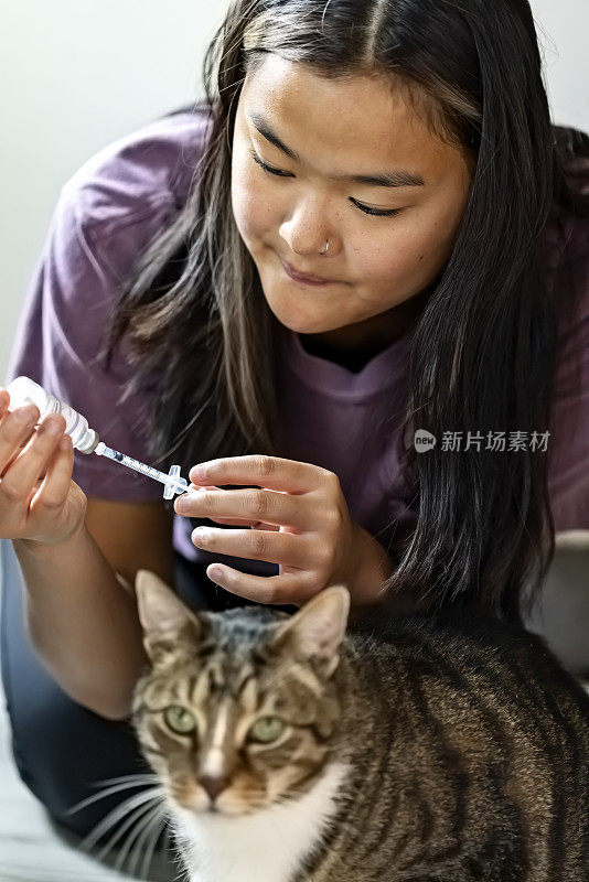 一名年轻女子给她患有糖尿病的猫注射胰岛素