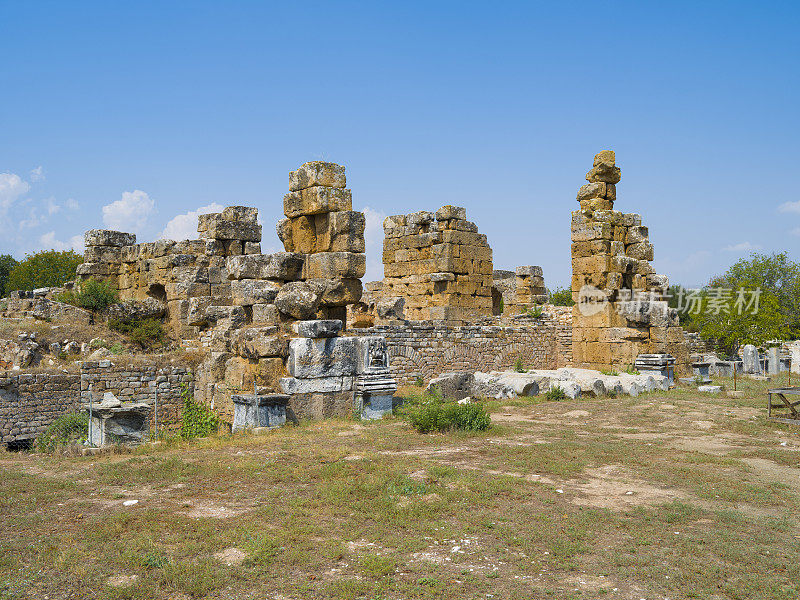 春草古城，aydın。火鸡