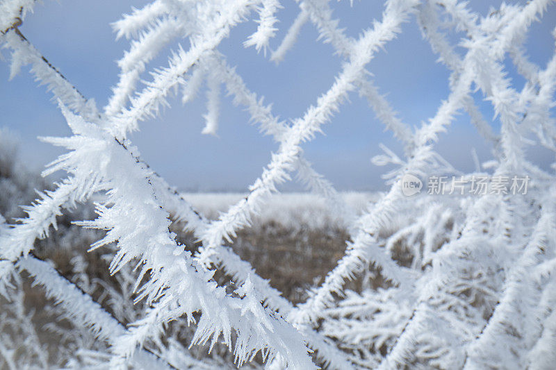 近距离的网眼围栏覆盖着白雪的冬季田野景观