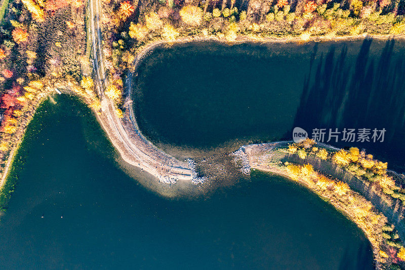 多色树叶在邻里公园在韦斯顿路和麦肯齐少校博士，伍德布里奇，加拿大