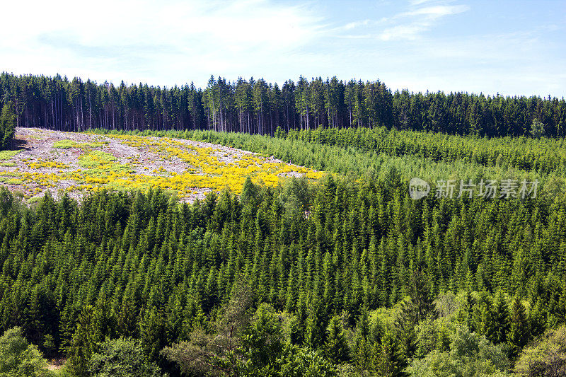 阿登landscapet