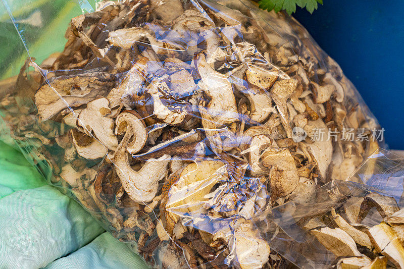 市场上的干蘑菇，鹅膏菌。加泰罗尼亚秋季美食。