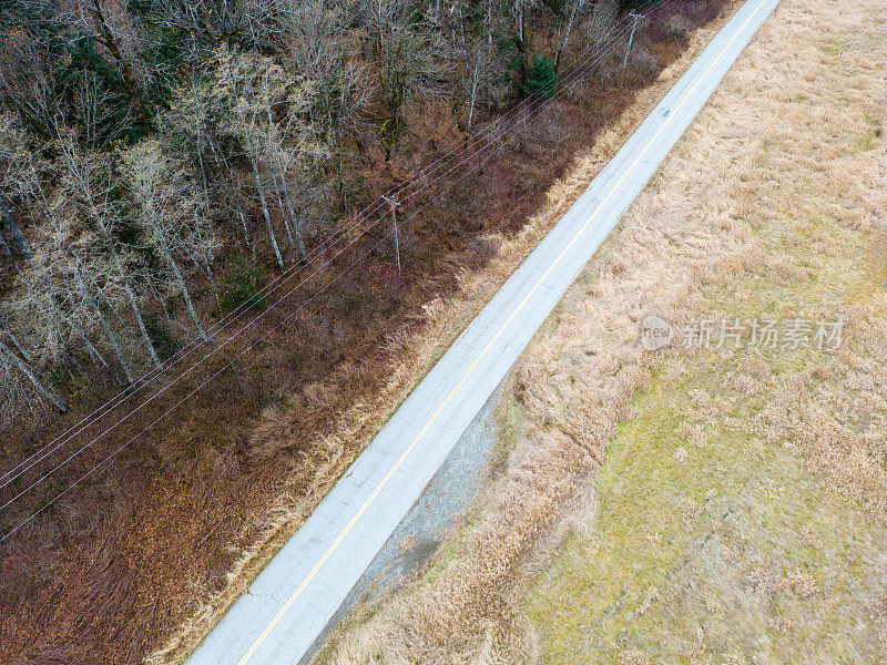 在秋天的照片中，在草地和落叶森林之间运行的偏远乡村道路