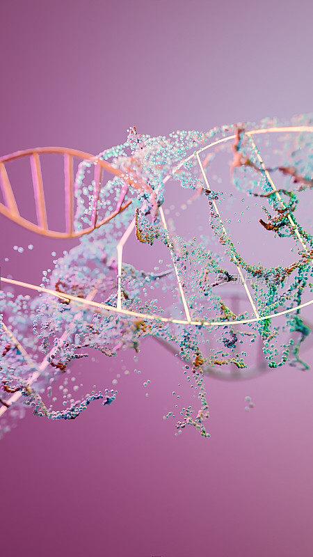 DNA遗传密码