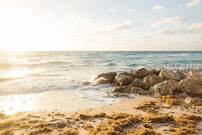 2023年春天，佛罗里达海岸棕榈滩的金色日出