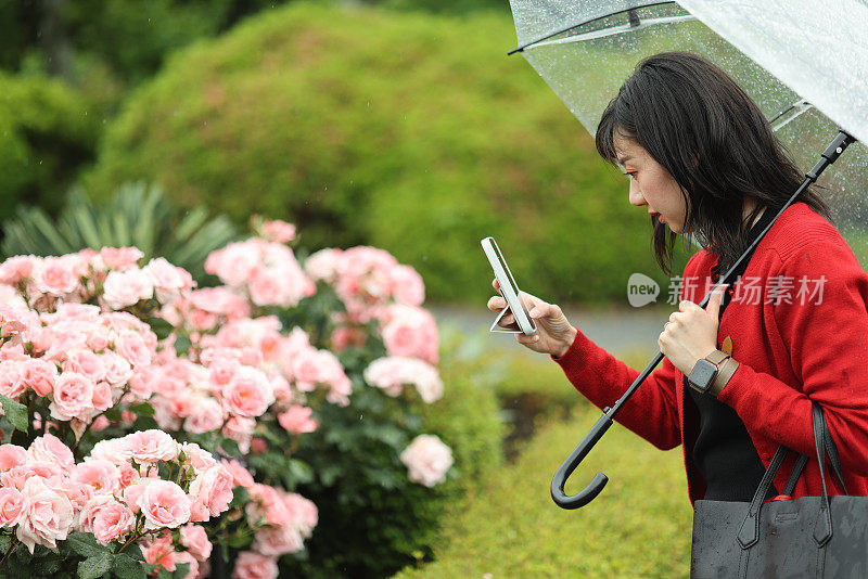 美丽的年轻女子在多雨的公园里欣赏玫瑰