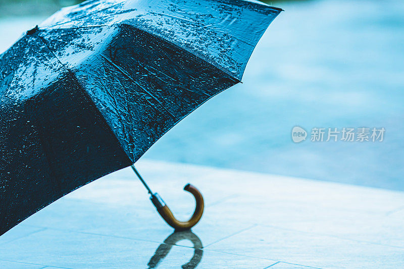 黑色的湿雨伞。多雨的天气。雨