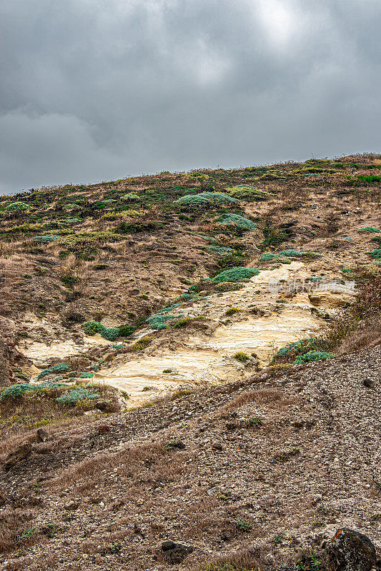 特写，裸露的白色底层岩石，圣克鲁斯岛，加州，美国