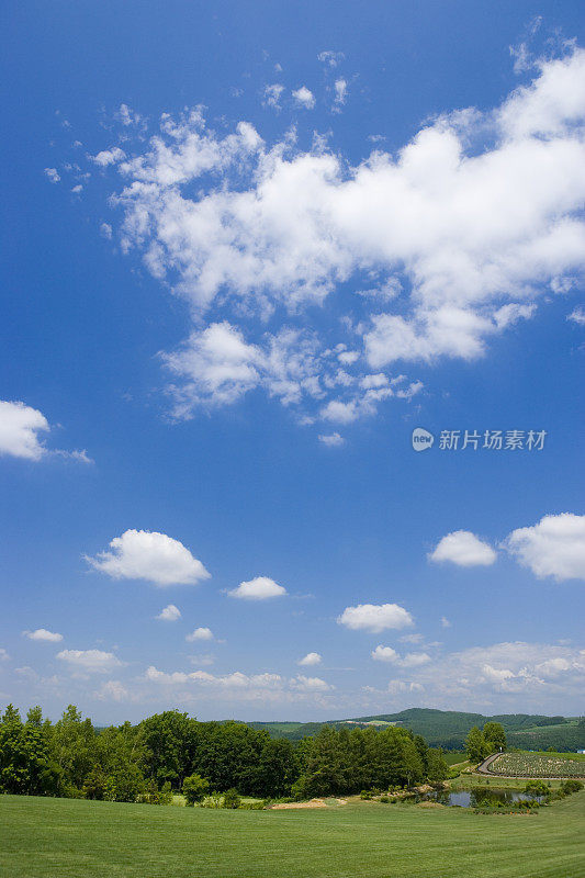 蓝天白云下的绿色田野。北，北海道上川