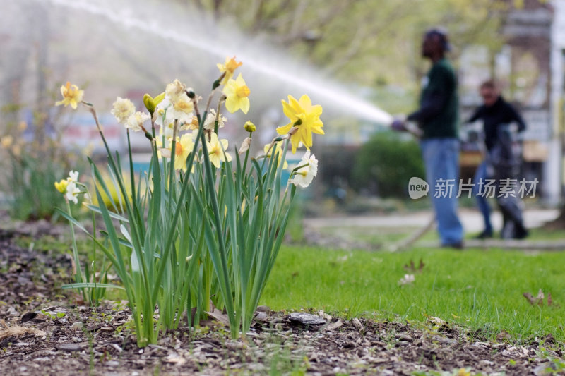 公园里的春季大扫除日