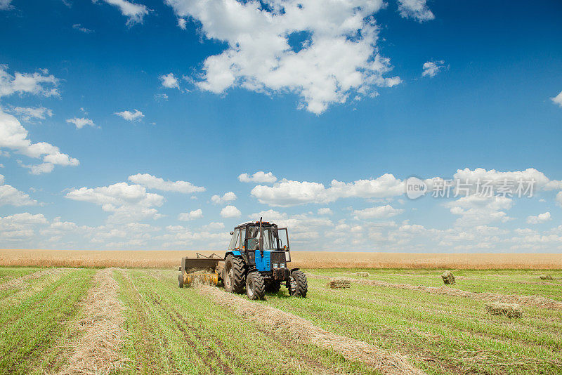 拖拉机在农田里收集干干草
