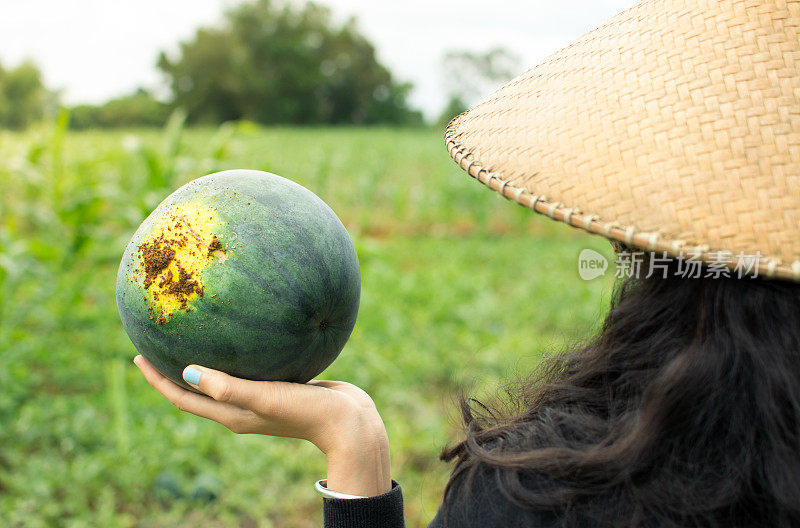 女农民抱着新鲜采摘的西瓜
