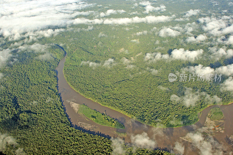 新几内亚的原始雨林