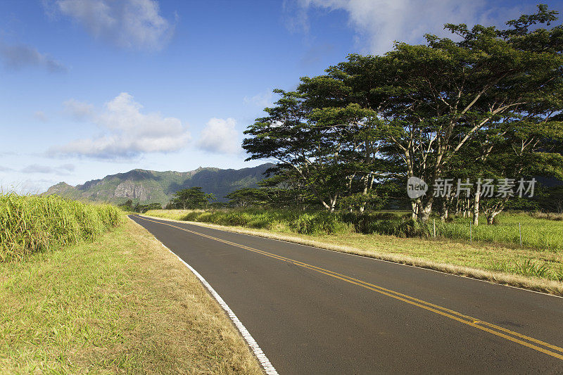 考艾岛，夏威夷乡村公路