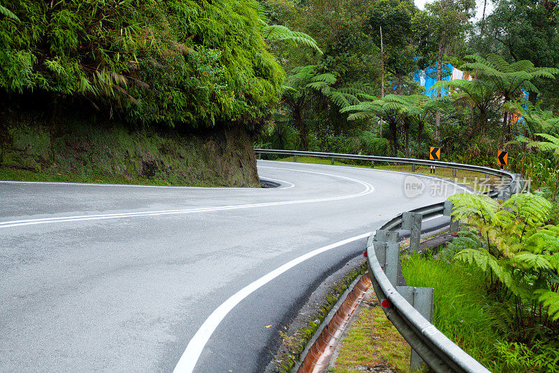 妖冶的道路