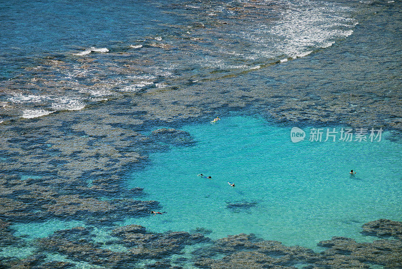 夏威夷哈瑙马湾自然保护区的珊瑚礁