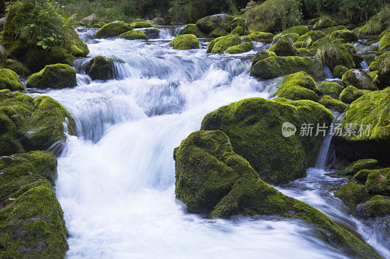 山里的荒野溪流